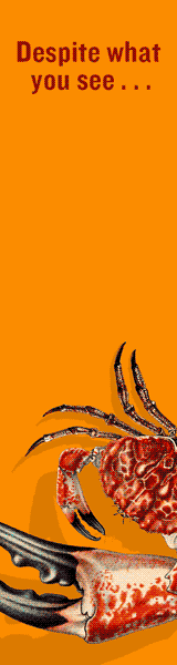 St. Martin's Press: There Are No Giant Crabs in This Novel: A Novel of Giant Crabs (John Dies at the End #5) by Jason Pargin