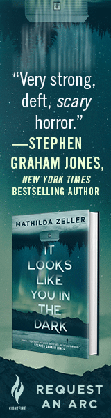 Tor Nightfire: It Looks Like You in the Dark by Mathilda Zeller