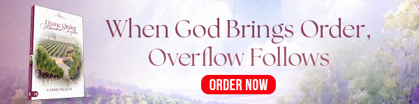 Harrison House: Divine Order, Abundant Overflow by Carrie Pickett