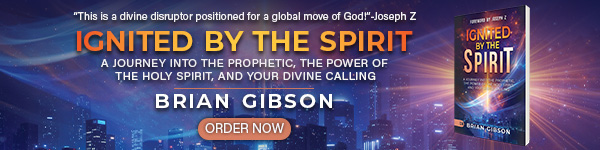 Harrison House: Ignited by the Spirit: A Journey Into the Prophetic, the Power of the Holy Spirit, and Your Divine Calling by Brian Gibson