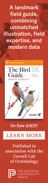 Princeton University Press: The Bird Guide: North America by Brian L. Sullivan, Michael O'Brien, Christopher Wood, and Steve Howell, illustrated by Ian Lewington and Lorenzo Starnini