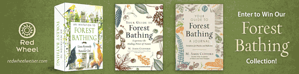 Red Wheel: Enter to Win Our Forest Bathing Collection by M Amos Clifford!