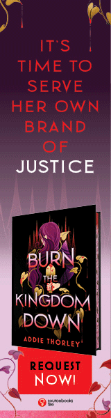 Sourcebooks Fire: Burn the Kingdom Down by Addie Thorley