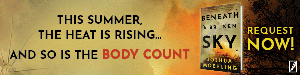 Poisoned Pen Press: Beneath a Broken Sky (Ben Packard #4) by Joshua Moehling