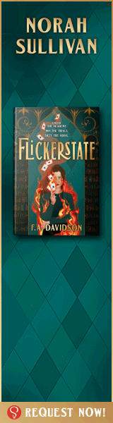 Sourcebooks Fire: Flickerstate by F.A. Davidson