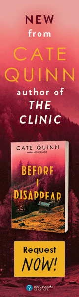 Sourcebooks Landmark: Before I Disappear by Cate Quinn