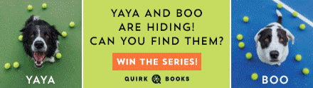 Quirk Books: Let's Find Yaya and Boo at the Park! by Andrew Knapp