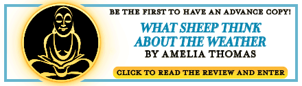 GLOW: Sourcebooks: What Sheep Think About the Weather: How to Listen to What Animals Are Trying to Say by Amelia Thomas