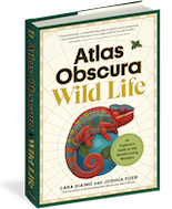 GLOW: Workman Publishing: Atlas Obscura: Wild Life: An Explorer's Guide to the World's Living Wonders by Cara Giaimo, Joshua Foer, and Atlas Obscura